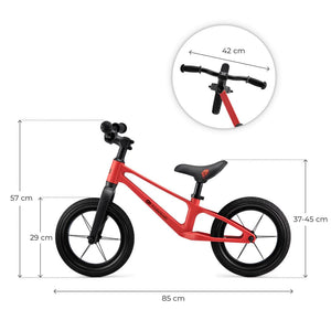 Bicicleta de equilibrio ETER