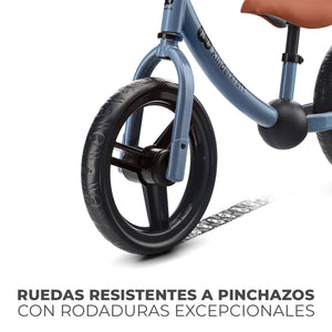 Bicicleta de equilibrio 2WAY NEXT