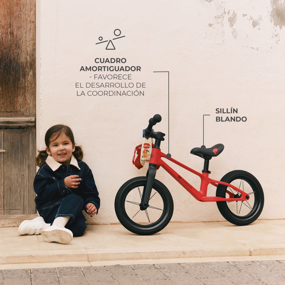 Bicicleta de equilibrio ETER