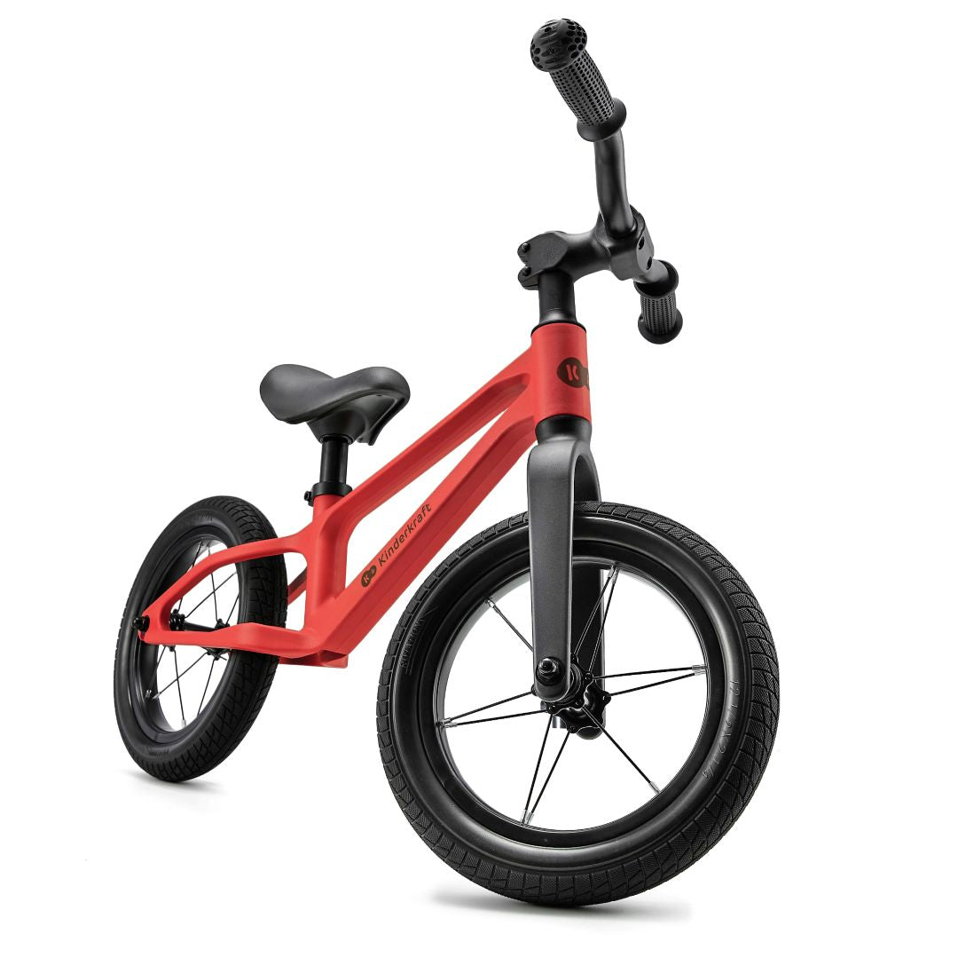 Bicicleta de equilibrio ETER