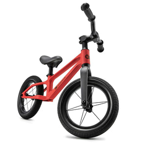 Bicicleta de equilibrio ETER